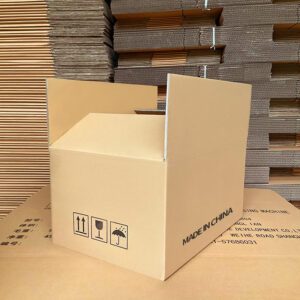 Custom Printed Corrugated Shipping Carton